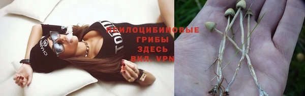 прущие крисы Алексеевка