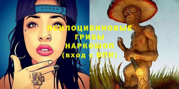 ешки Алзамай
