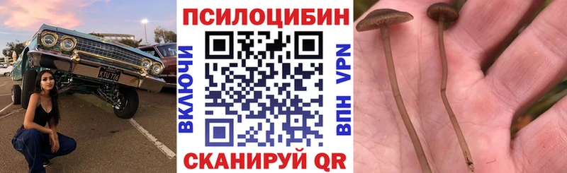Псилоцибиновые грибы Magic Shrooms hydra зеркало это Telegram Нижний Ломов